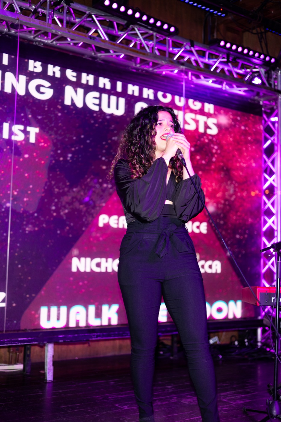 RISE UP! — California Fire Foundation Fundraiser